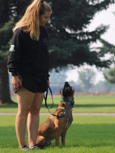 Northwest Canine Coaching LLC - ,