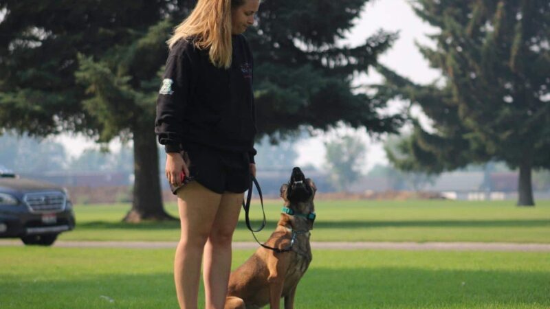 Northwest Canine Coaching LLC - ,