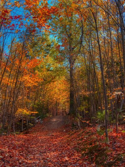 Roberts Farm Preserve Trails - Norway, ME