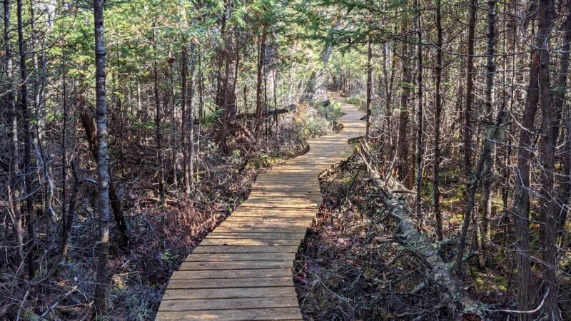 Witt's End Trail - Pleasant Street entrance/parking - Norway, ME