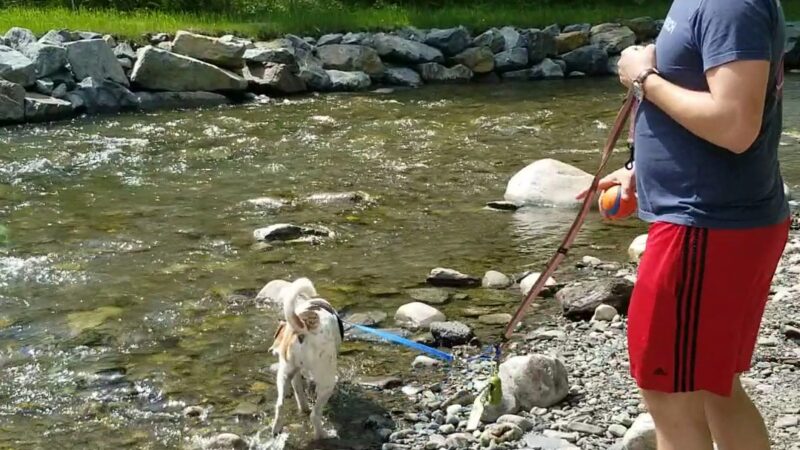 Huntley Meadow Athletic Fields - Norwich, VT