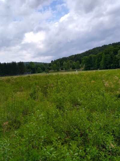 Huntley Meadow Athletic Fields - Norwich, VT