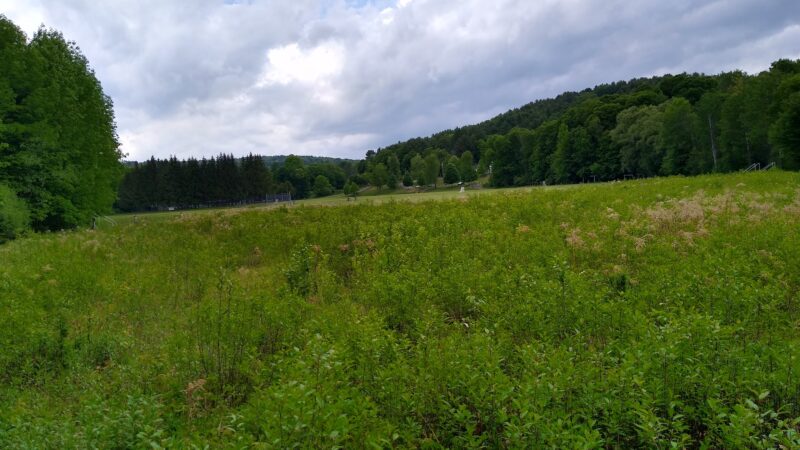 Huntley Meadow Athletic Fields - Norwich, VT