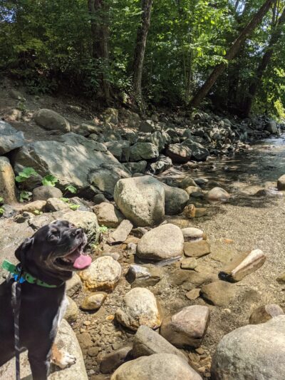 Huntley Meadow Athletic Fields - Norwich, VT