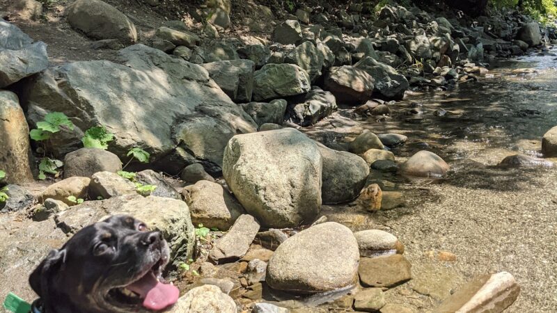 Huntley Meadow Athletic Fields - Norwich, VT