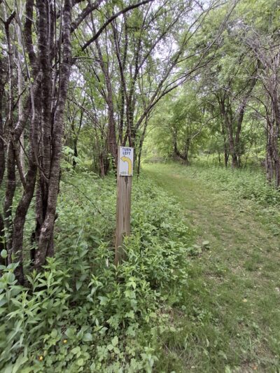 Hawes Brook Walkway - Norwood, MA