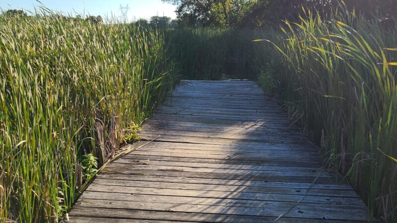 Baylor Regional Park - Norwood Young America, MN