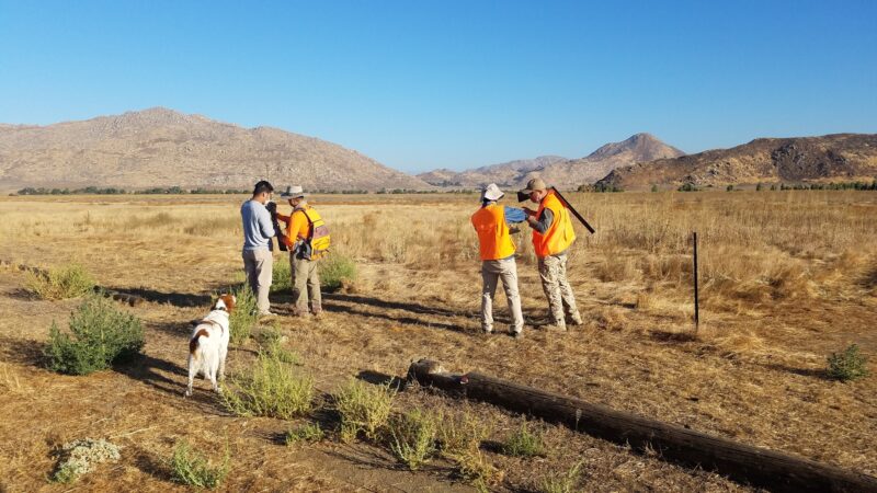 San Jacinto Dog Training Park - Nuevo, CA