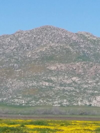 San Jacinto Dog Training Park - Nuevo, CA