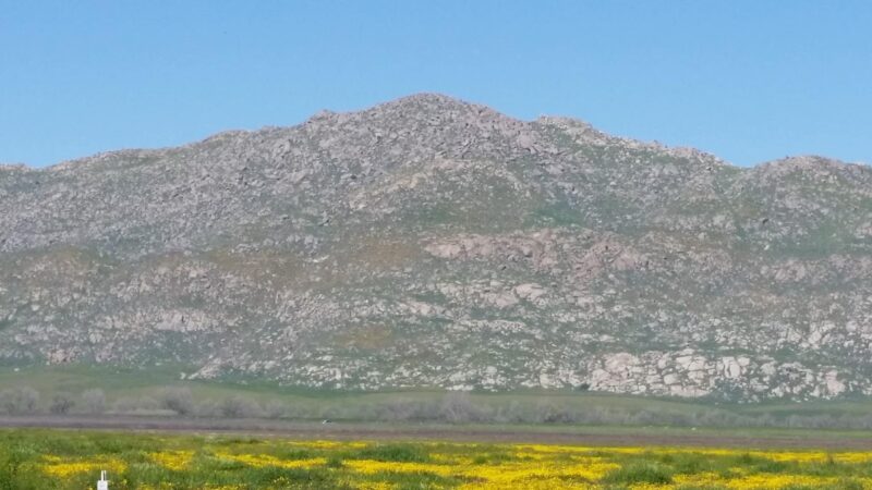 San Jacinto Dog Training Park - Nuevo, CA