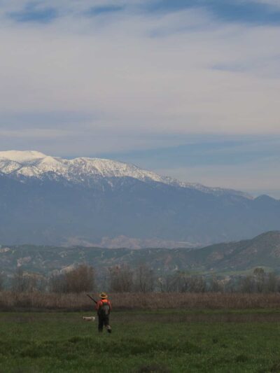 San Jacinto Dog Training Park - Nuevo, CA