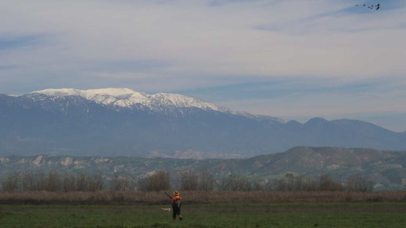 San Jacinto Dog Training Park - Nuevo, CA