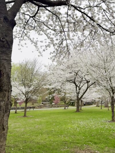 Memorial Park 3 - Nutley, NJ