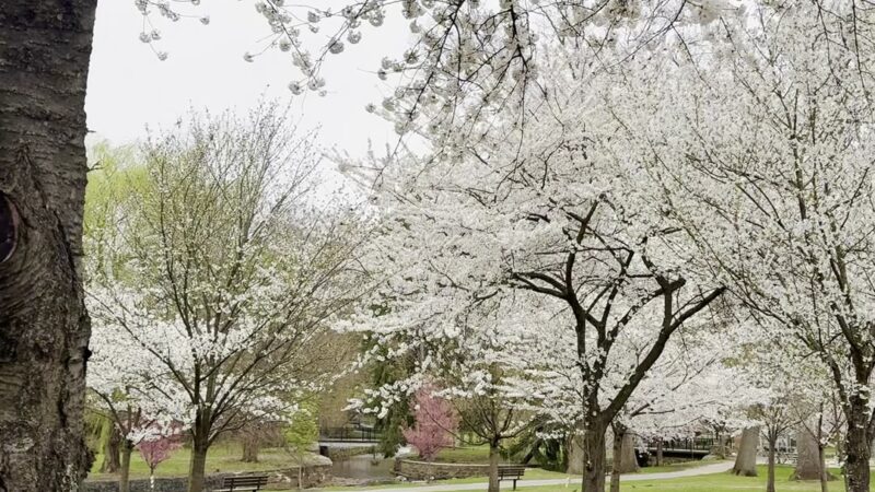 Memorial Park 3 - Nutley, NJ