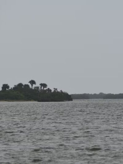 Sunrise Park - Oak Hill, FL