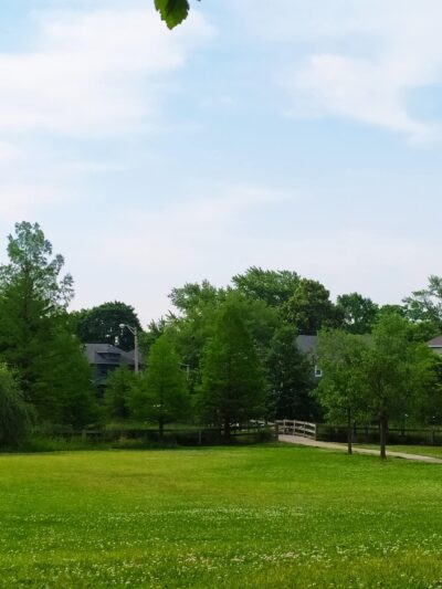 Taylor Park - Oak Park, IL