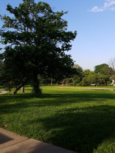 Taylor Park - Oak Park, IL