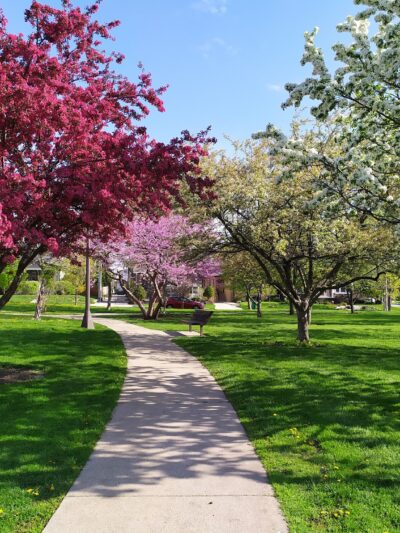 Taylor Park - Oak Park, IL