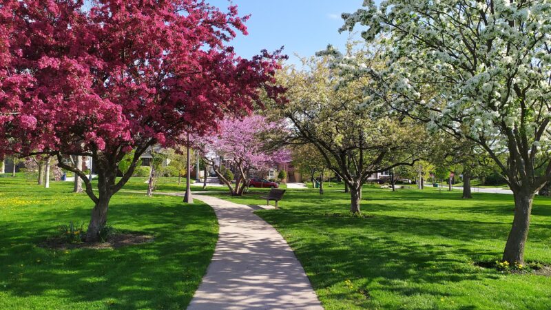 Taylor Park - Oak Park, IL