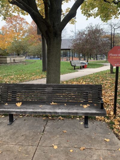 Taylor Park - Oak Park, IL