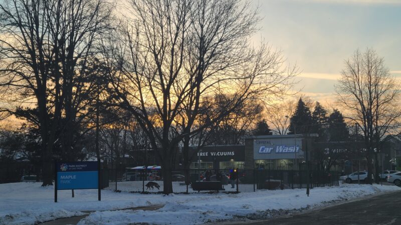 Maple Park Dog Park - Oak Park, IL