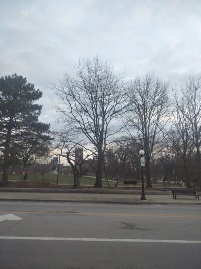 Scoville Park World War I Memorial - Oak Park, IL