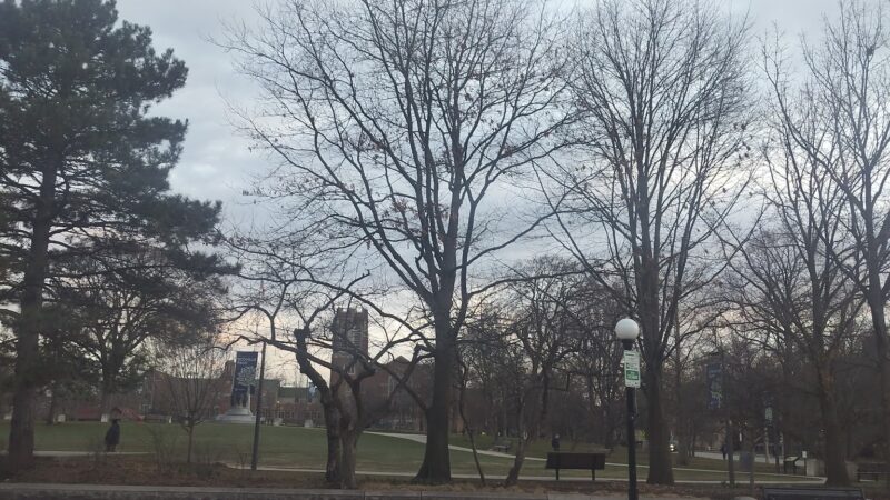 Scoville Park World War I Memorial - Oak Park, IL