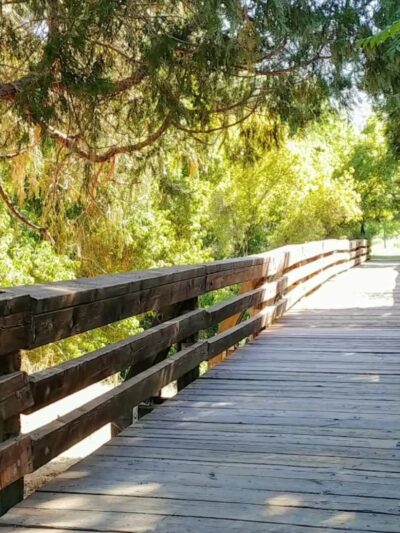 Oakhurst Community Park - Oakhurst, CA