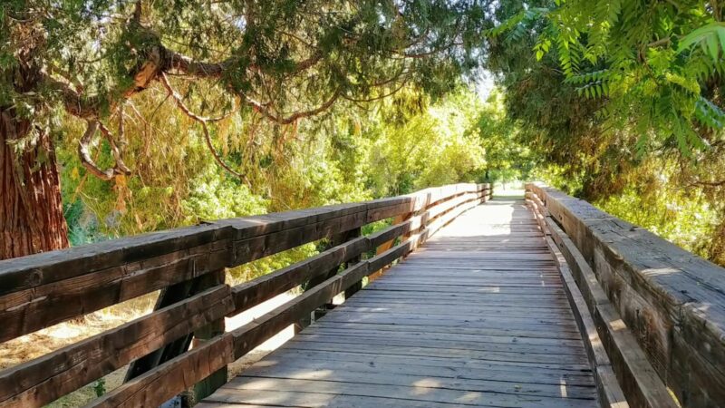 Oakhurst Community Park - Oakhurst, CA