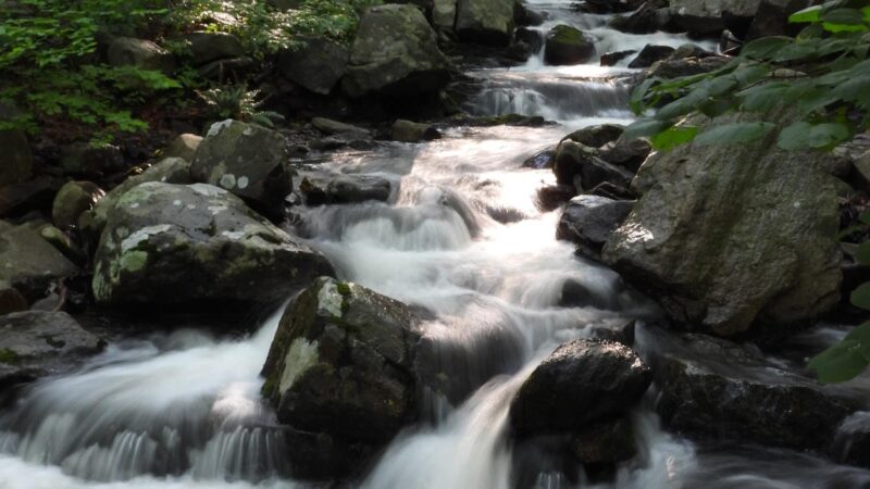 Ramapo Lake Trailhead - Oakland, NJ