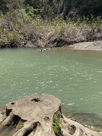 Creekside Park - Oakmont, PA