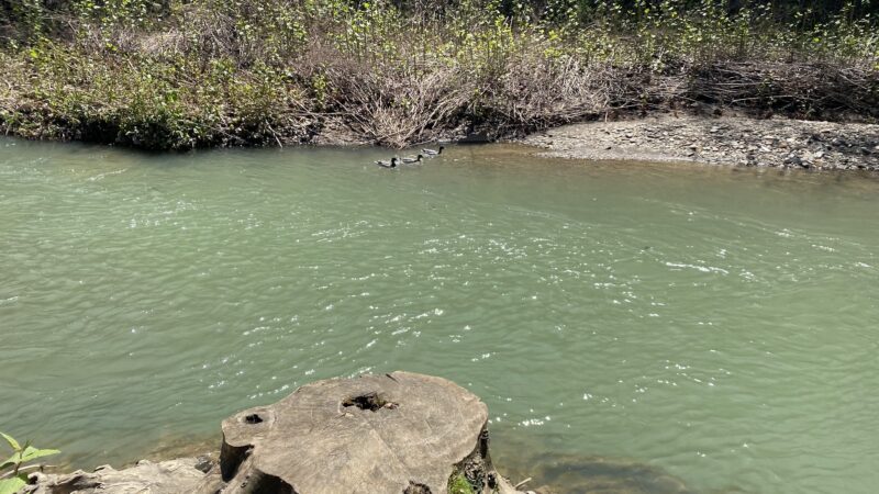 Creekside Park - Oakmont, PA