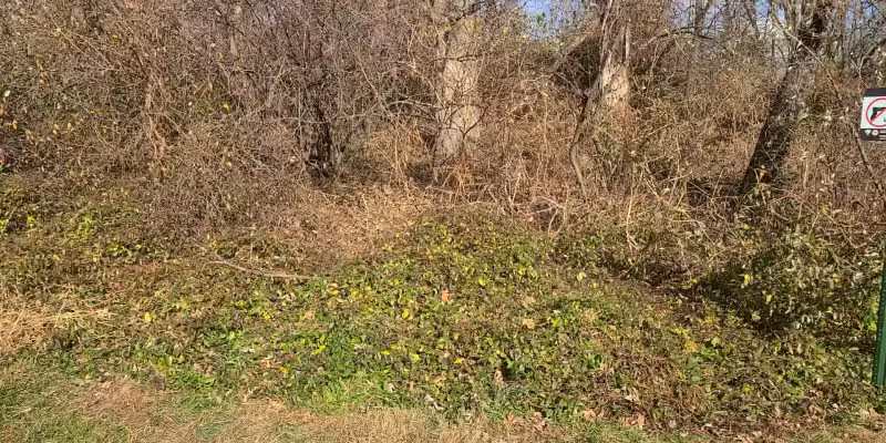 Blake Lane Park - Oakton, VA