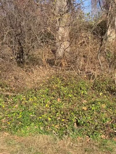 Blake Lane Park - Oakton, VA