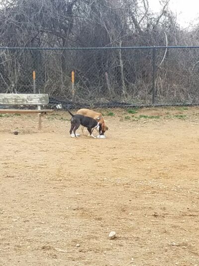 Blake Lane Park - Oakton, VA