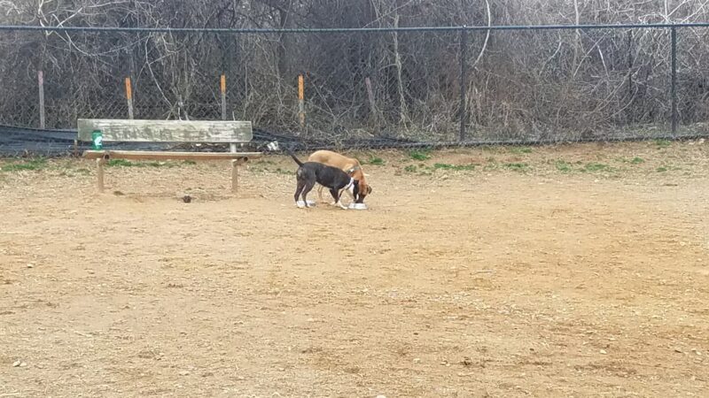 Blake Lane Park - Oakton, VA