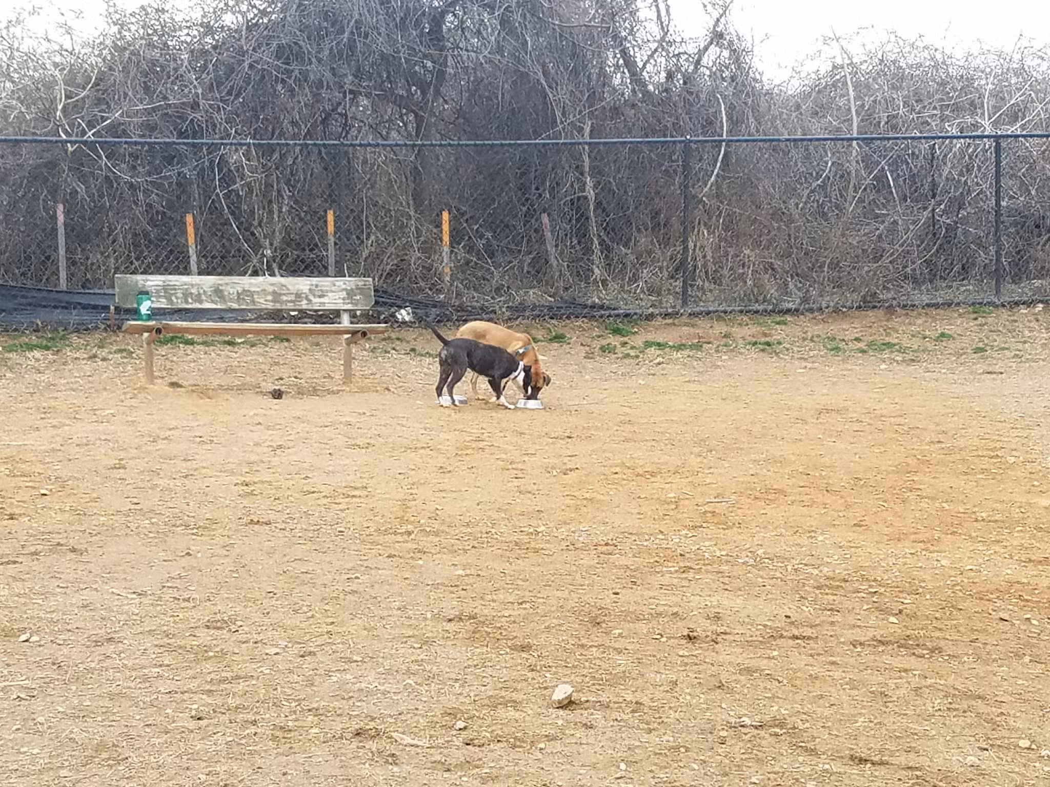 Blake Lane Park - Oakton, VA