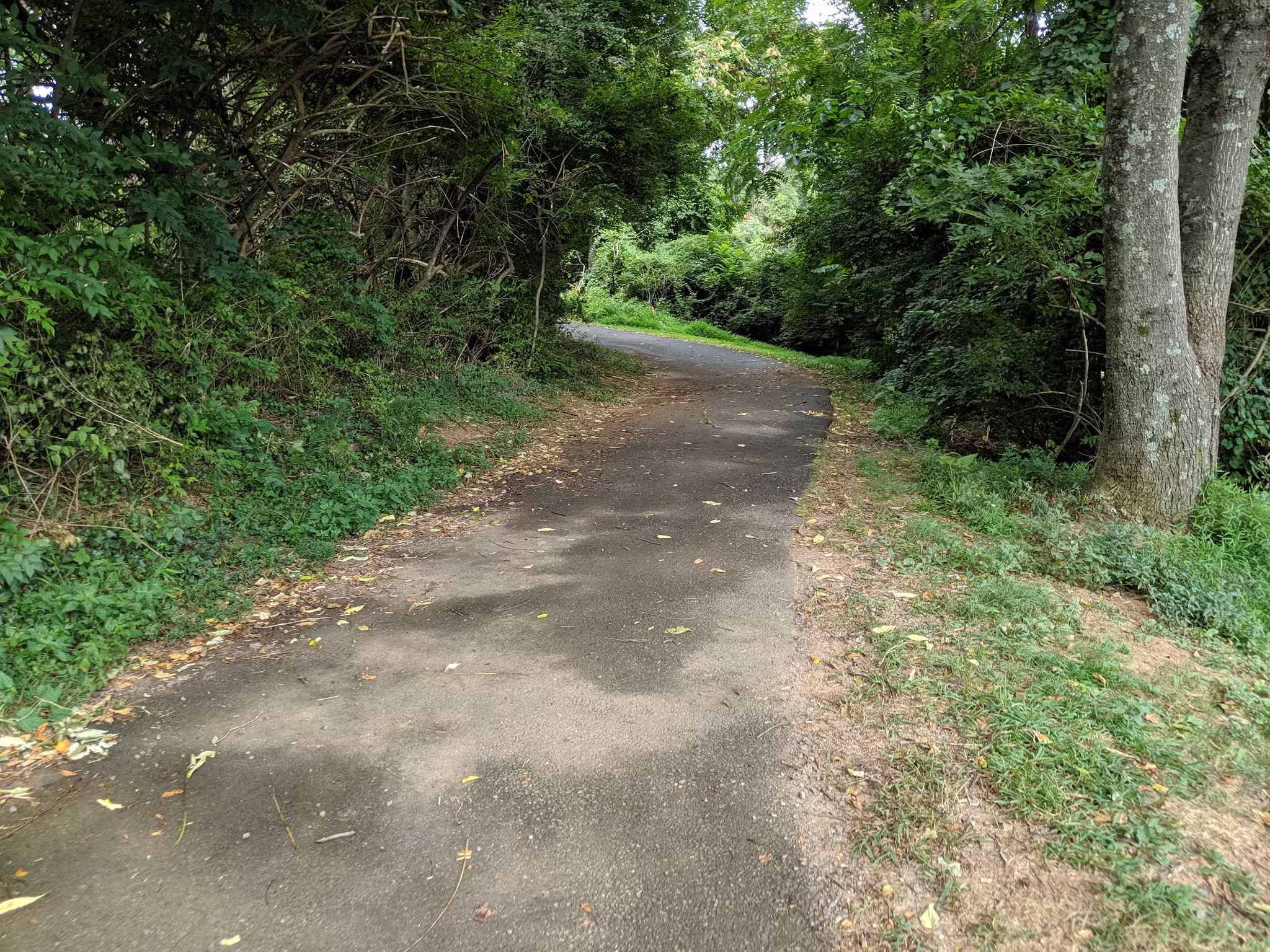 Blake Lane Park - Oakton, VA