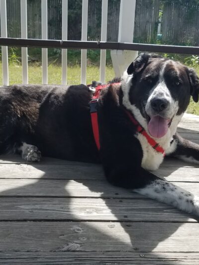 Jay Marles Park - Ocean Gate, NJ