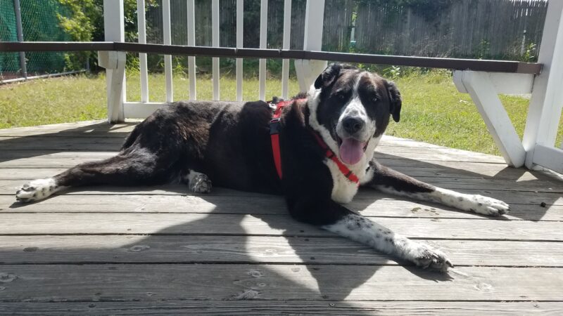 Jay Marles Park - Ocean Gate, NJ