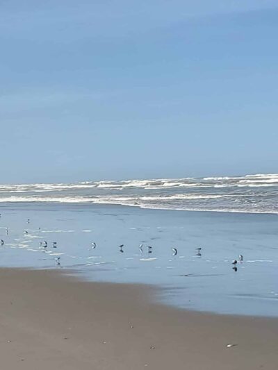 Beach Approach - Ocean Park, WA