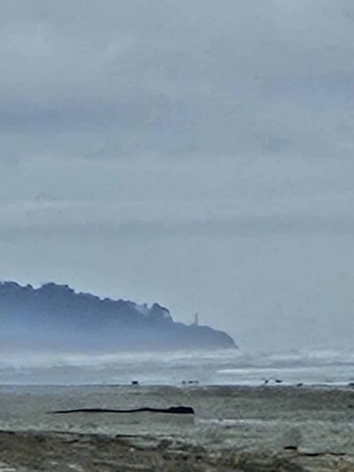 Beach Approach - Ocean Park, WA