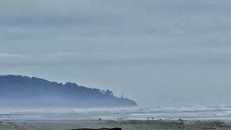 Beach Approach - Ocean Park, WA