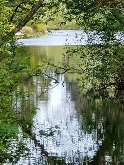 Skating Lake Park - Ocean Park, WA