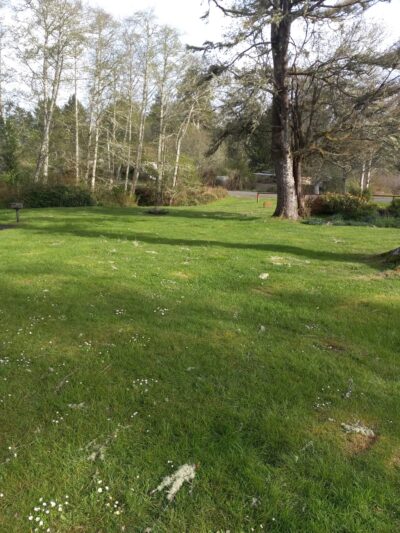 Skating Lake Park - Ocean Park, WA