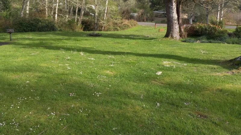 Skating Lake Park - Ocean Park, WA