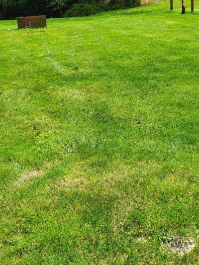 Skating Lake Park - Ocean Park, WA