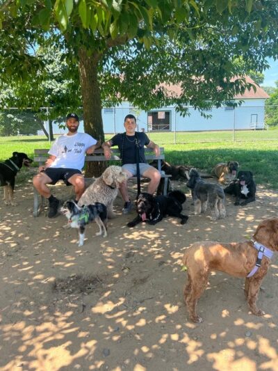 Happy Tails Dog Camp New Jersey - Ocean Township, NJ