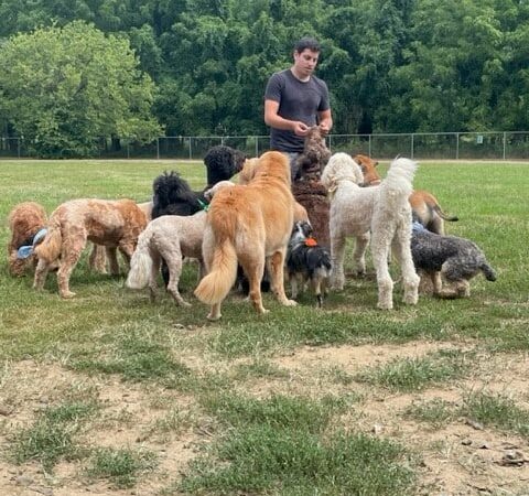 Happy Tails Dog Camp New Jersey - Ocean Township, NJ