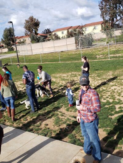 Harborview / Seaside Village Dog Park - Oceanside, CA
